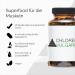 YPSI Chlorella Vulgaris Capsules | Vegan Micro Algae with Folic Acid & Iron | 200 Count - International Shipping Available - Buy Online on GoSupps.com