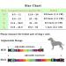 Heele Adjustable Dog Collar for All Sizes - Patterned Comfortable & Robust - Perfect for Puppies & Large Dogs - Rainbow Design (34-53cm) - Buy Online on GoSupps.com