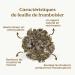 FEUILLE DE FRAMBOISIER TISANE BIO 100g (50 Tasses) | Infusion Fin de Grossesse | Th de Pr paration l'accouchement REPLANTEA - Buy Online on GoSupps.com