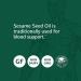 Standard Process Sesame Seed Oil Softgels - Antioxidant & Immune Support Supplement - Buy Online on GoSupps.com