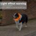 Coolzon LED Light Neck Band Dog Collar - Waterproof Adjustable Length 3 Modes Super Bright for Cats & Dogs - Orange - Buy Online on GoSupps.com