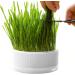Anulely Cat Grass Plant Container - Earth-Free Indoor Planting Box for Cats & Dogs | Removable Sprouter Tray & Home D cor in White - Buy Online on GoSupps.com
