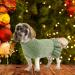 Alagirls Classic Dog Sweater - Warm Turtleneck Knitted Puppy & Cat Clothing | Christmas Holiday Outfits for Small Dogs - Sage Green - Buy Online on GoSupps.com