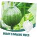Milisten 2pcs Fruit Shaping Mold Fruits Small Fruit Mold Shaper Mold Fruit Accessory Accessories Vegetable - Buy Online on GoSupps.com