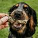 SKIPPER'S Fish Skin Twists Regular Dog Chews for Teeth 250g - Handmade & Gently Air- Dried - Healthy & Natural Dog Dental Sticks Long Lasting - Hypoallergenic & Grain Free Regular 250 g (Pack of 1) - Buy Online on GoSupps.com
