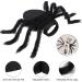Shop Halloween Spider Costume for Dogs & Cats | Adjustable Black Paired Costumes & Decorations - Perfect for Small & Medium Pets - Buy Online on GoSupps.com