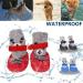 Tiny Dog Cat Boots Socks Small (Pack of 4) - Adjustable Waterproof Breathable Anti-Slip Sole for All Weather Paw Protection in Black - Buy Online on GoSupps.com