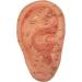 Ear Zone Model XC-514A - Height 7 | Premium Quality Ear Protection - Buy Online on GoSupps.com