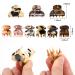 9-Piece Tortoise Shell Hair Clips Set for Women - French Hair Claw & Jaw Clamp Accessories in Classic Pattern - Buy Online on GoSupps.com