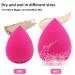2 PCS Air Cushion CC Cream Set with Foundation Brushes and Mushroom Makeup Sponge - Natural Moisturizing Concealer for Bright Long-Lasting Makeup - Buy Online on GoSupps.com