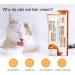 WOTEG Science Diet Cat Food High Calorie Dietary Supplement Vitamin and Mineral Support Cat Supplements Hairball Remedy Gel for Cats and Kittens 4.2 Oz - Buy Online on GoSupps.com