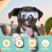 PETLESO Dog Goggles - Large Dog Eye Protection Sunglasses for Medium Large Dogs - Buy Online on GoSupps.com