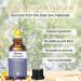 Hyppry 3-Pack Spice Essential Oils for Diffuser - Vanilla, Rosemary, Cinnamon | 100% Pure Natural Aromatherapy Oils for Home, Candle & Soap Making - Buy Online on GoSupps.com
