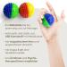 2x DBT Skills Hedgehog Acupressure Balls - Magnetic Stress Relief & Massage - 4 Colors | Boost Mobility & Concentration - Buy Online on GoSupps.com