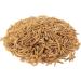 Downtown Pet Supply Dried Mealworms - 100% Natural Treats for Wild Birds, Chickens, Reptiles & Fish - Buy Online on GoSupps.com