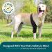 Dog Knee Brace - with 10 Support Sticks Dog Back Leg Brace - Comfortable Hip and Leg Protector Breathable for Small Senior and Disabled Dogs - Buy Online on GoSupps.com