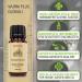 Saint Nutrition Wurm Plus Globuli - Natural Worm Treatment for Dogs & Cats | 10g - Effective Pet Health Solution - Buy Online on GoSupps.com
