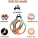 Doramio Reflective Dog Harness & Leash for Small Dogs & Cats - Step-In Breathable Anti-Train Safety Design (XXS Orange/Blue) - Buy Online on GoSupps.com