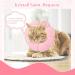 Hylyun Adjustable Soft Sunflower Neck Rope Cat Collar - Post-Surgery Recovery for Cats & Small Dogs - PM Pink - Buy Online on GoSupps.com