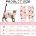 Cat Surgery Recovery Suit Male Female Anti Licking Cat Onesies Cone E-Collar Alternative Pet Vest Post Operative Abdominal Wounds Protector Prevent Licking for Small Cat Puppy Doughnut (L) - Buy Online on GoSupps.com