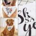Emsea Dog Haller 'She Said Yes' - Triangle Accessory for Medium & Large Dogs | Perfect for Photos Parties & Weddings - Buy Online on GoSupps.com