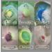 INTEYE Bath Bombs Gift Set | 24 Handmade Fizzies with Essential Oils | Perfect for Birthdays & Holidays - Buy Online on GoSupps.com