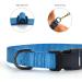 Audwud Thick Nylon Dog Collar - Adjustable Beach Blue Neck Band for Small Medium & Large Dogs | 4 Sizes Available - Buy Online on GoSupps.com