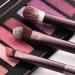 12PCS Wooden Eyeshadow and Eyebrow Brush Set - Premium Makeup Tools for Women | Full Makeup Brush Collection in Brown - Buy Online on GoSupps.com