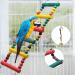 MQUPIN Bird Parrot Toys 12 Pack Budgie Toys Parrots Cage Toys Hanging Swing Climbing Shredding Perches Toys Ladders Sepak Takraw Parrot Bite Toy Cockatiel Toys for Parakeet Budgerigar M-7.9inch - Buy Online on GoSupps.com