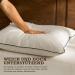 BPC Daunkissen 40x80 Set - Luxurious Spring Down Pillows with Organic Cotton Cover | Soft Sleeping Pillows (2 Pack) - Buy Online on GoSupps.com