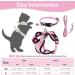 Cat Lead and Harness Set Pink Cat Harness with Reflective Strips Escape Proof Harness for Cats Adjustable Cat Leash Kitten Harness Cat Lead Kitten Leash for Small Medium Cats Pets (XS) - Buy Online on GoSupps.com
