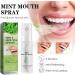 Fresh Mint Breath Spray for Bad Breath & Dry Mouth - Oral Care Spray for Lasting Freshness - Buy Online on GoSupps.com