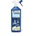 JACQUES BRIOCHIN DRUGSTER SINCE 1919 - Anti-Odor Cleaner - With Baking Soda - Foam Texture - Verbena Fragrance -