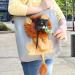 Sweet Lion Shape Cat & Dog Shoulder Bag Breathable Portable Pet Carrier for Small Animals Perfect for Outdoor Walks & Excursions - Buy Online on GoSupps.com