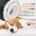 Premium Dog Harness for Hedge Aid | Comfortable & Durable Dog Gear for International Shipping - Buy Online on GoSupps.com