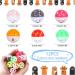 12 PCS Cat Toy Balls Plastic Ball Cat Toys Cat Bell Ball Lattice Balls with Bell Jingle Kitten Toy Cat Kitten Play Balls for Indoor Kitten Pet Chase Pounce Rattle Play Toys Random Color (12pcs) - Buy Online on GoSupps.com