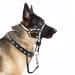 Dog Head Collar No Pull Gentle of Leader for Dogs Adjustable Dog Head Halter Reflective Anti-Pull Muzzle Leash Dog Nose Strap Easy to Control When Walking (Size L)