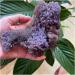 Gemstones and Crystals 20-140g Natural Grape Agate Crystal Specimen Home Decor QINTINYIN Full of Texture (Size : 100-110g) - Buy Online on GoSupps.com