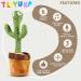 Dancing Cactus Toy for Kids | Interactive Talking Plush Cactus | Repeat & Glow | Sing & Dance | Ages 1-8 - Buy Online on GoSupps.com