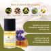 Shop Bee Naturals Nail & Cuticle Care Kit - Vitamin E Oil for Repair & Revitalization | Dryness Splitting & Hangnails Relief - Lavender Lemon Tea Tree Scents - Cruelty-Free & International Shipping - Buy Online on GoSupps.com