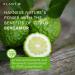 Citrus Bergamot Supplement 1200mg - Heart Health Immunity & Antioxidant - 70% Polyphenols - 60 Veggie Capsules | International Shipping Available - Buy Online on GoSupps.com