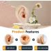 2 Pcs Silicone Ear Model Fake Ear Models Left and Right Soft Flexible Model Fake Ear Piercing Practice Realistic Silicone Ear Mold for Study Practice Teaching Tool Jewelry Display - Buy Online on GoSupps.com