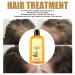Ginaday Instant Ginger Hair Regrowth Shampoo - Hair Growth & Care Formula, Anti-Hair Loss - 280ML/1PCS (2 Count) - Buy Online on GoSupps.com