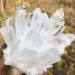 NAKOUULF Natural White Quartz Crystal Cluster Specimen Suitable for Home HOMEZHOU (Size : 250-300g) - Buy Online on GoSupps.com