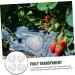 STOBOK 4pcs Melon Forming Gardening Major Molds Garden Design Plastic Fruit Heart Tools Small Strawberry - Buy Online on GoSupps.com