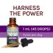 Fungi Perfecti MyCommunity Extract 1 fl oz - Premium Mushroom Supplement - Buy Online on GoSupps.com