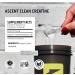 Ascent Clean Creatine Monohydrate Powder | 5G Creapure Creatine Supplement | Unflavored | 45 Servings - International Shipping - Buy Online on GoSupps.com