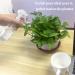 Shanqian 200ml Empty Spray Bottles - Set of 6 - Ideal for Disinfectant Gardening & Cleaning | Durable Plastic Design - Buy Online on GoSupps.com