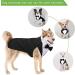 Dog Tuxedo and Bandana Set - Formal Wedding Party Suit with Bow Tie Shirt (Cute Style XXL) - Buy Online on GoSupps.com