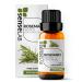 SenseLAB Rosemary Essential Oil - 100% Pure Extract Rosemary Oil Therapeutic Grade - for Diffuser and Humidifier - Hair and Skin Care Oil - Outdoor Protection (10 ml) Rosemary 10ml